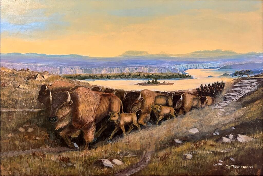 Buffalo Migration