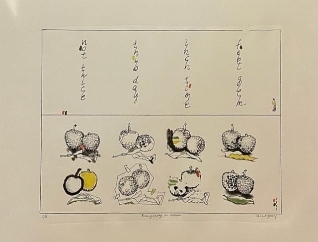 Pomography for Takuan