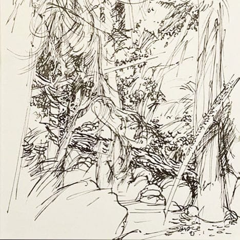 Cypress Creek