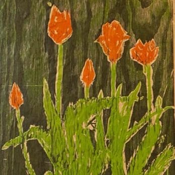 Tulips