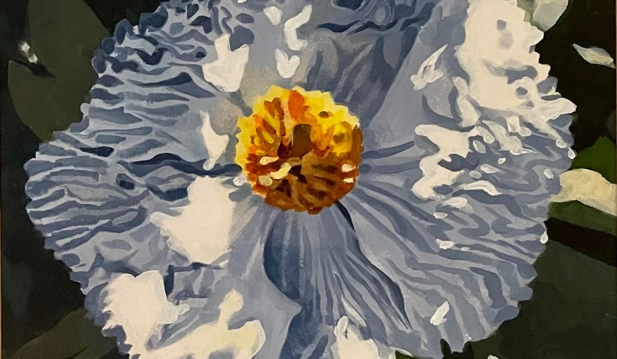 Beatty Ann White Poppy wc