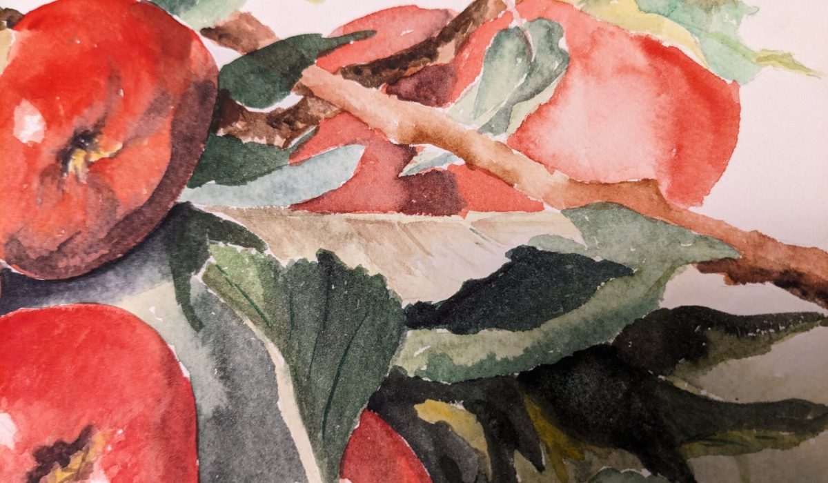 Boldt, Barbara Untitled An abundance of apples wc detail 2