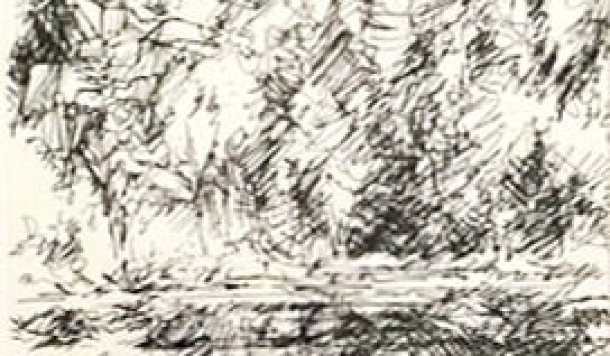 Downs Barry Black Mountain Tarn crop