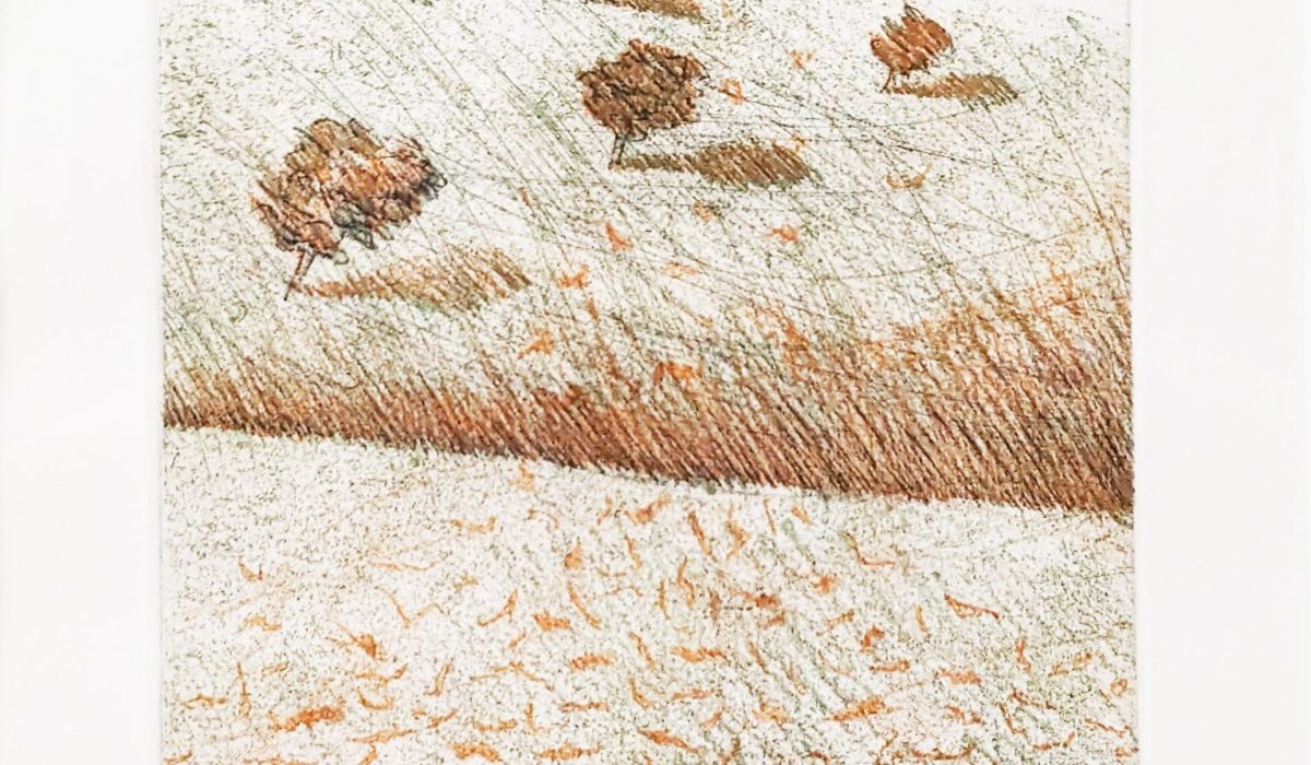 Esler-Indian-Summer-w-frame-crop-1