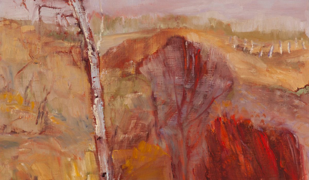 Plewman V photod Feb 2014 47