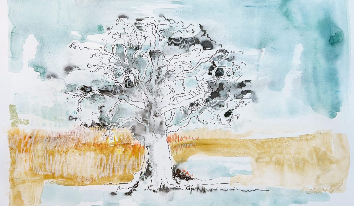 Reid-Richard-UT-Tree-with-ochre-field-crop-1