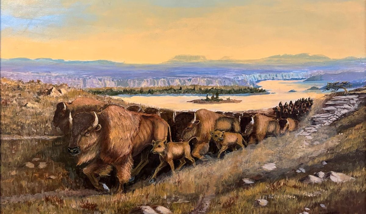 Tuchsen-RJ-Buffalo-migration-oil-Large-1