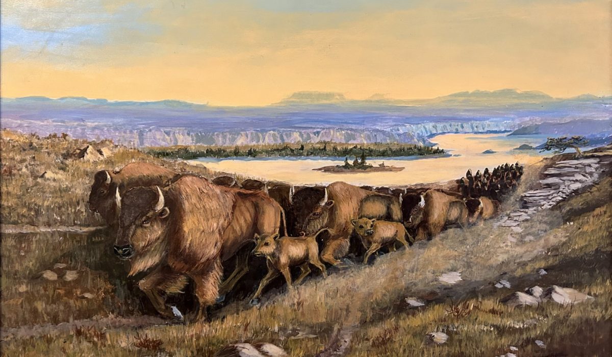 R.J. Tuschen. Buffalo Migration. Oil on canvas. No date.