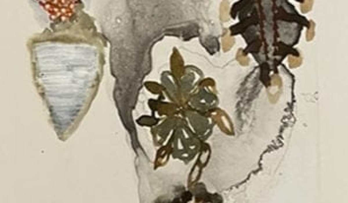 cropped-Biden-Doug-Alpine-Tranformation-VI-1