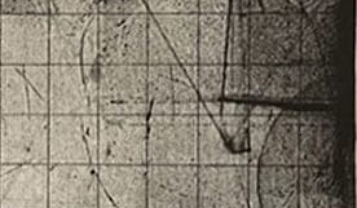 cropped-Biden-Doug-Path-to-the-Future-I-81-crop-1