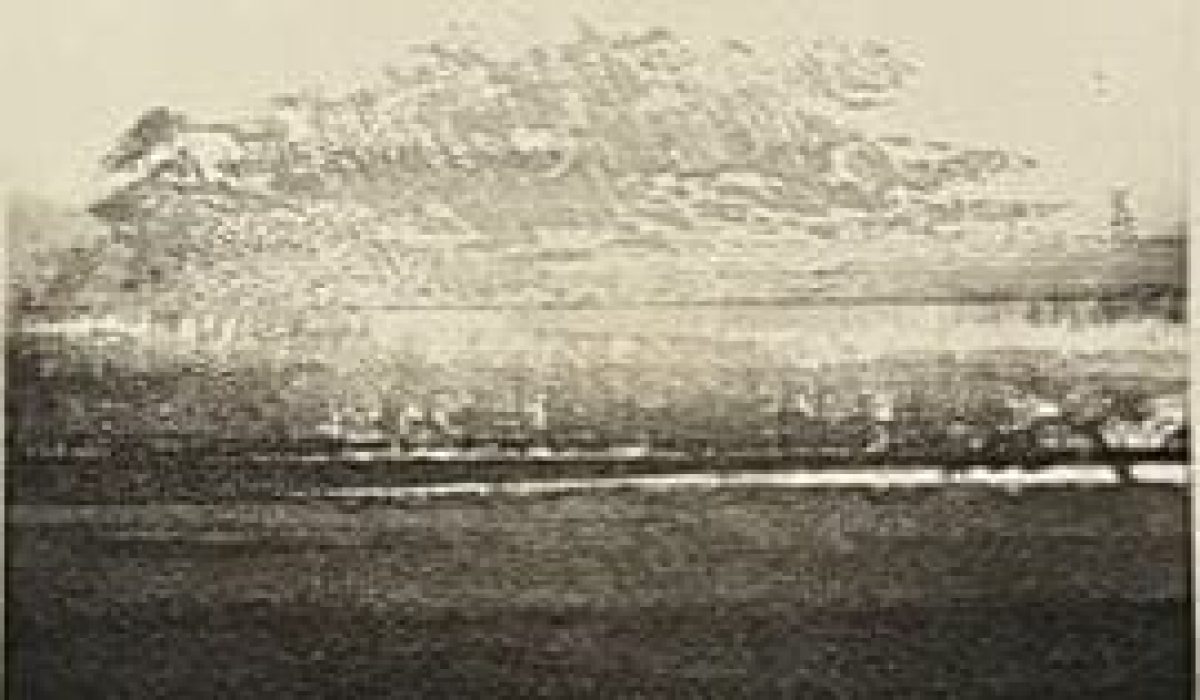 cropped-Doug-Biden-Details-of-the-West-Coast-5-of-10-crop-1