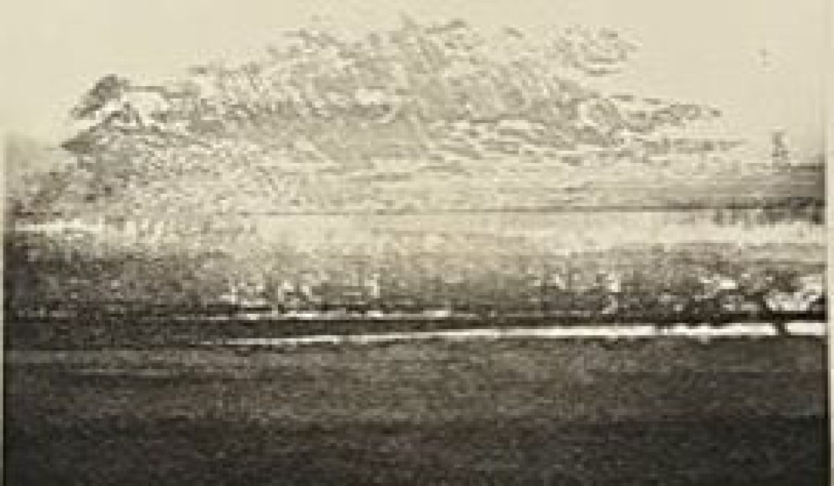 cropped-Doug-Biden-Details-of-the-West-Coast-5-of-10-crop.jpg