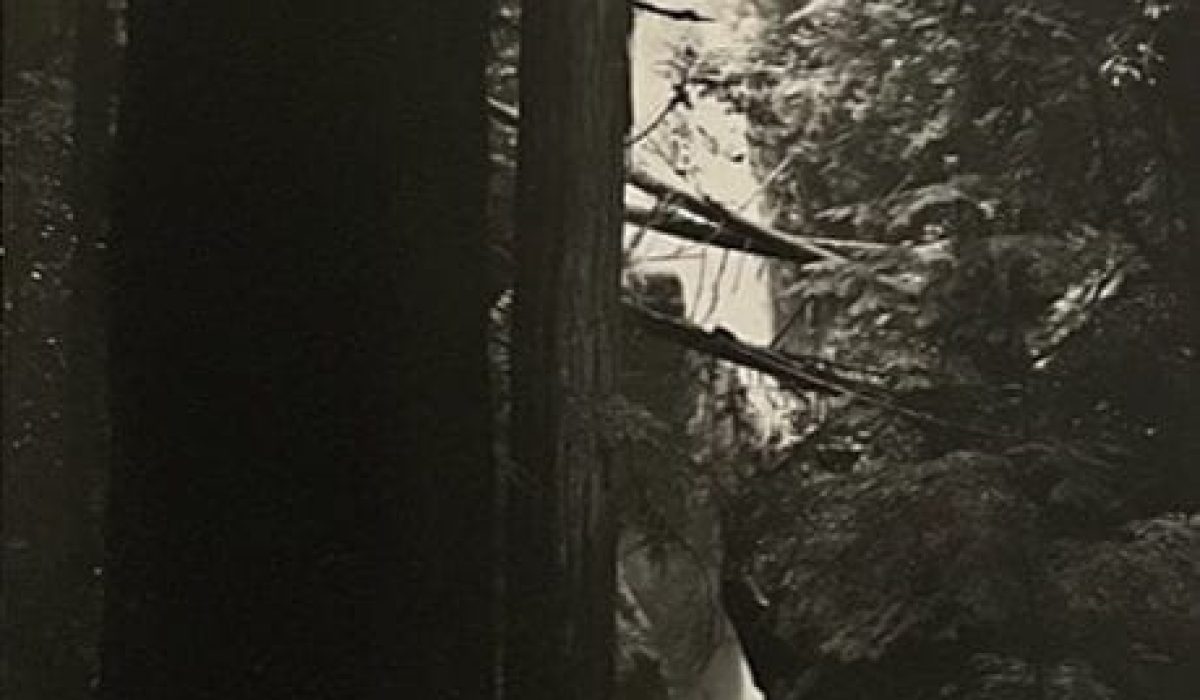 cropped-Downs-Barry-Cypress-Creek-Waterfall-2014a-1