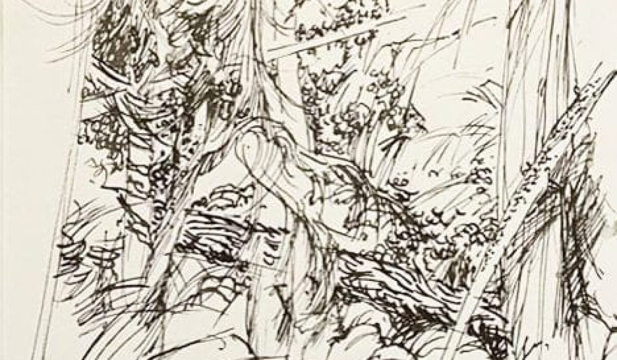 cropped-Downs-Barry-Cypress-Creek-Waterfall-95a-1