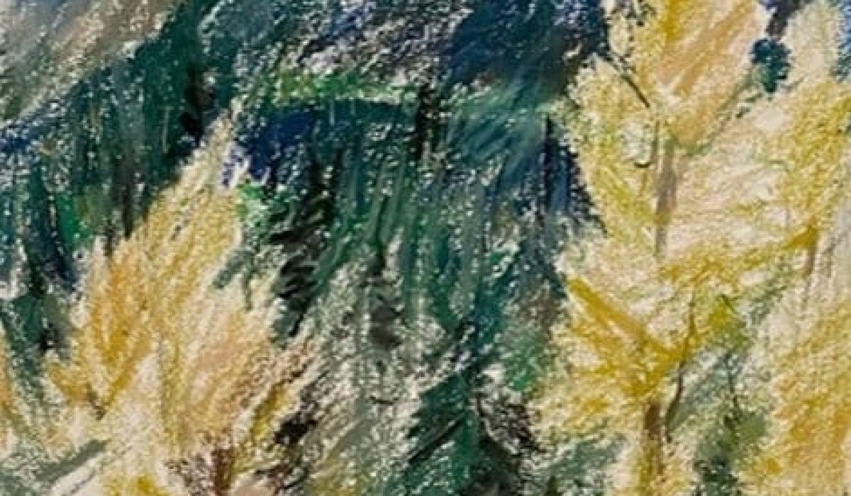 cropped-Downs-Barry-Rainbow-Mountain-b-1