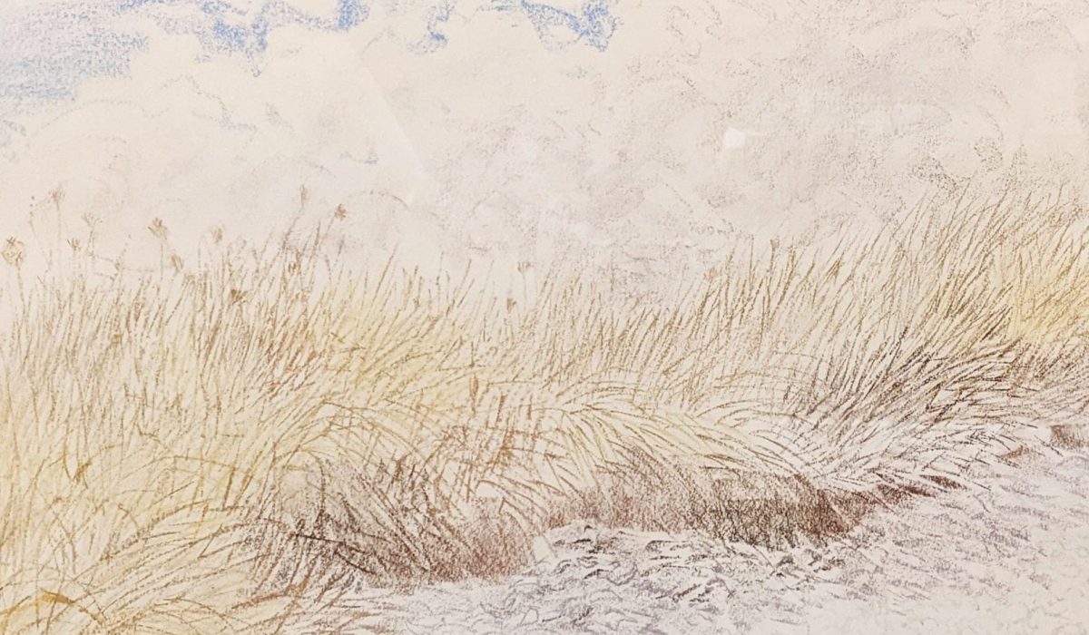 cropped-Reid-Irene-Hoffar-Shoreline-Blue-Heron-Beach-pastel-1-1