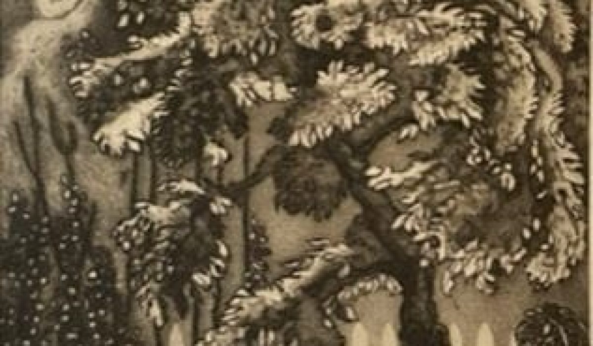 cropped-Young-Robert-Plum-Tree-1963-crop-a-1