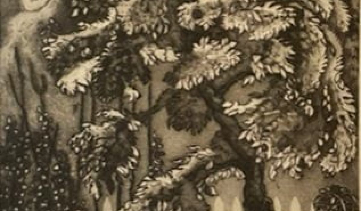 cropped-Young-Robert-Plum-Tree-1963-crop-a.jpg