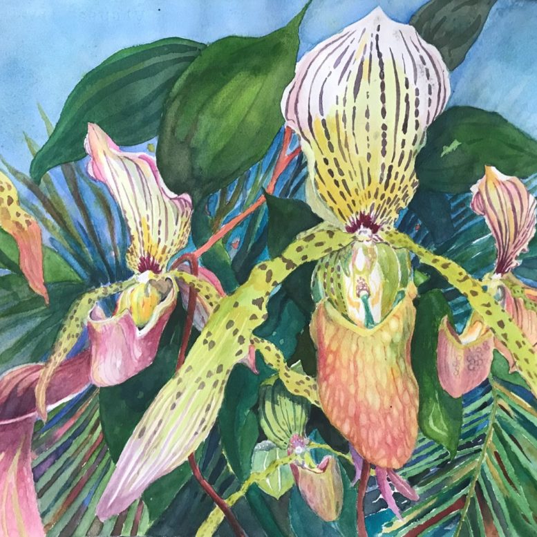 Ingrid de Jong. Lady Slippers. Watercolour. 2008.
