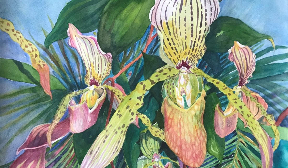 Ingrid de Jong. Lady Slippers. Watercolour. 2008.