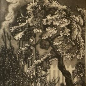 Default image