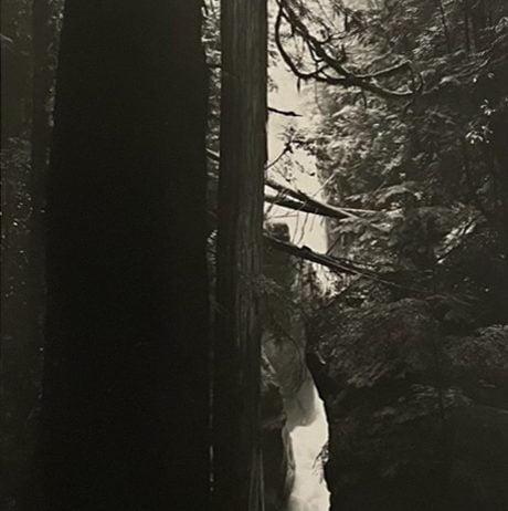 Cypress Creek Waterfall