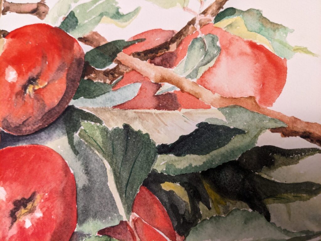 Untitled (An abundance of apples)