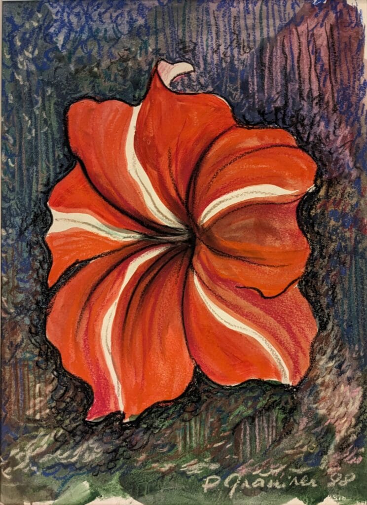 Red Petunia