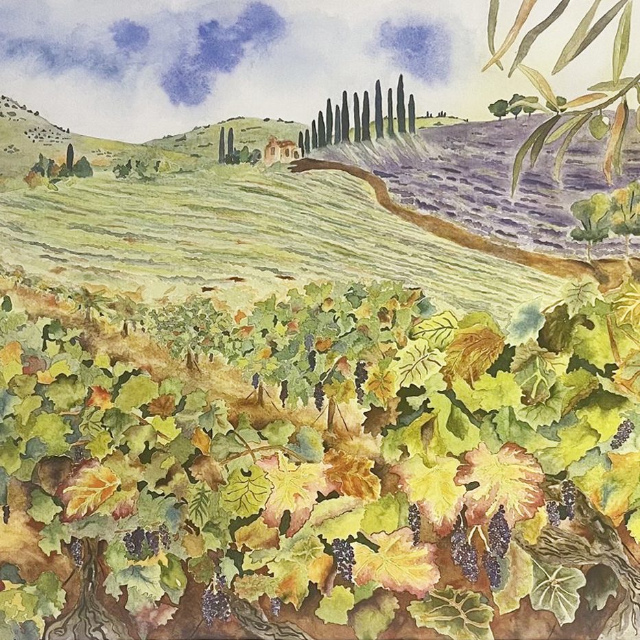 Untitled (Vineyards and fields)